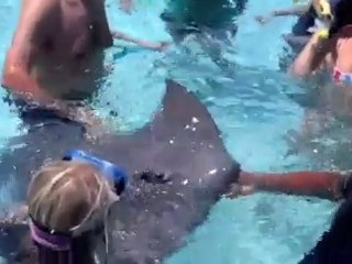 Plongée en apnée dans le pacifique