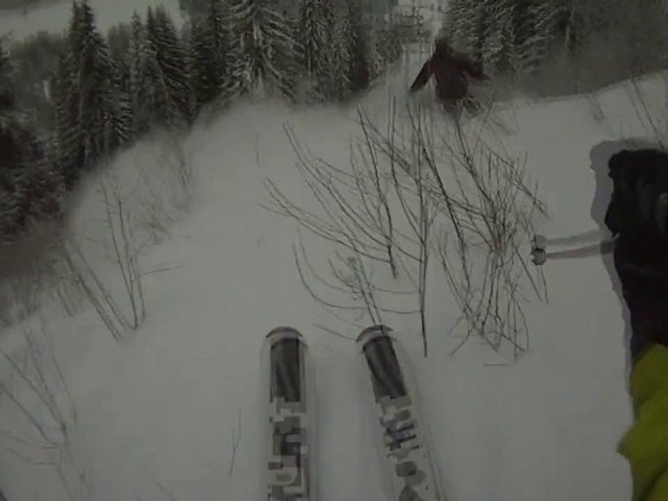 NOEL SKIING POWER ...