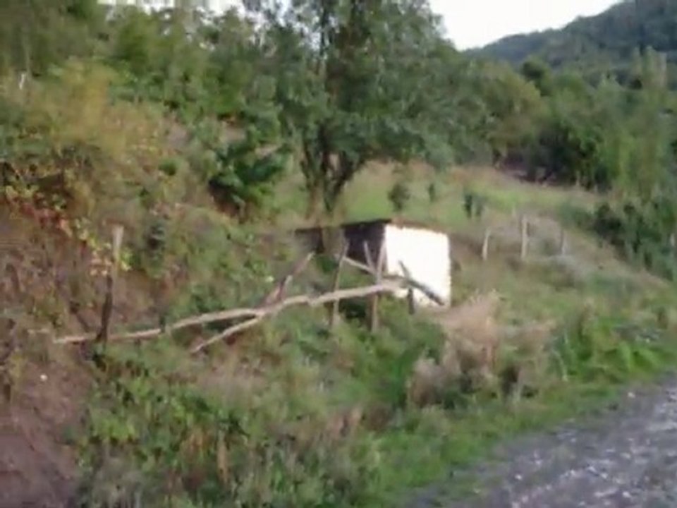 zılat 123