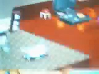 Evim (Sanalika anemon)