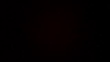 webcam_1293372997533