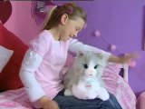 AniMagic Animatronic Plush Puppy and Kitten Toys from Vivid