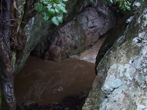 La Foux de Sainte Anne d'Evenos : affluent de la Reppe (ollioules)
