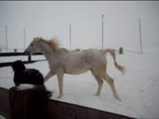 Les Deux monstres passent a l'action ;)