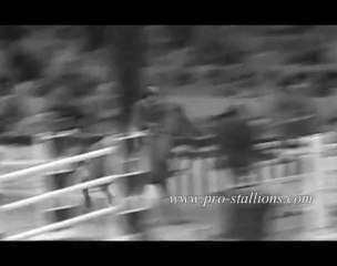 ~ Le cheval est un partenaire de danse ... Mais pas que ♥ ~