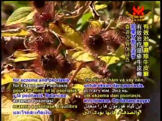 Markus Rothkranz: The Power of Raw Foods - P2/2