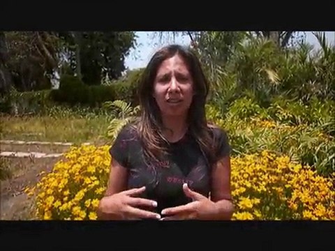 flores+en+peru-flores+peru- FloresEnPeru.com-1-peru