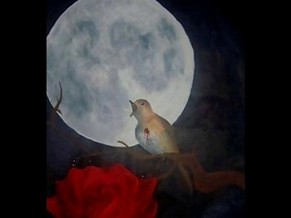 Gönül -Latife ERaslan