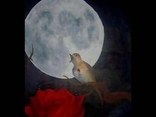 Gönül -Latife ERaslan