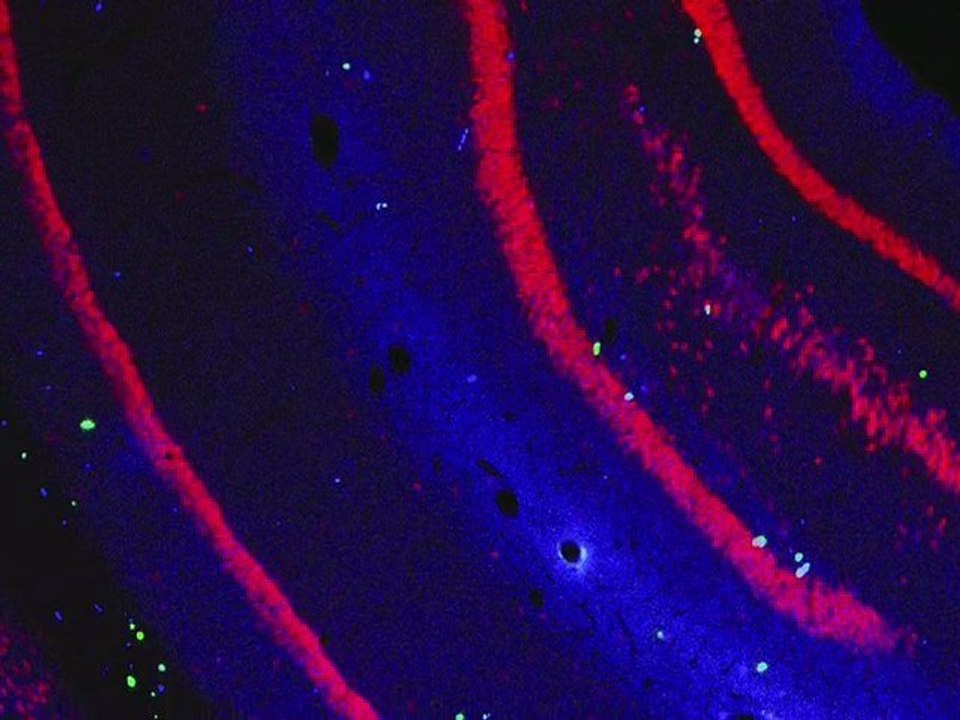 ¡QUE DUERMAS BIEN, ANGELITO!