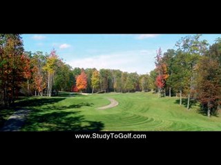 golf lessons leicester