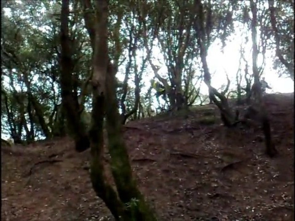 vtt