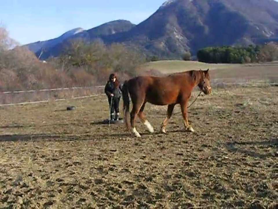 Jeu du cercle, il se rebelle !