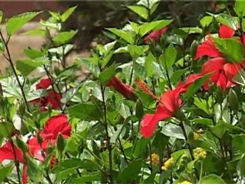 Auberge de Tameslote - Marrakech - Maroc