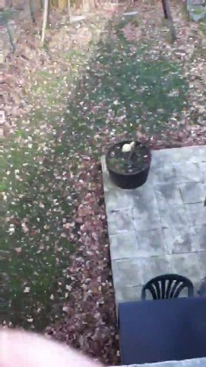Test IPod Touch - Video