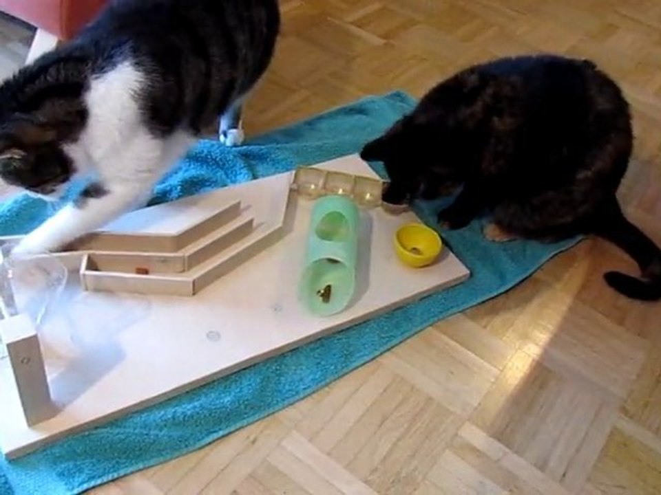Katzenfummelbrett 2
