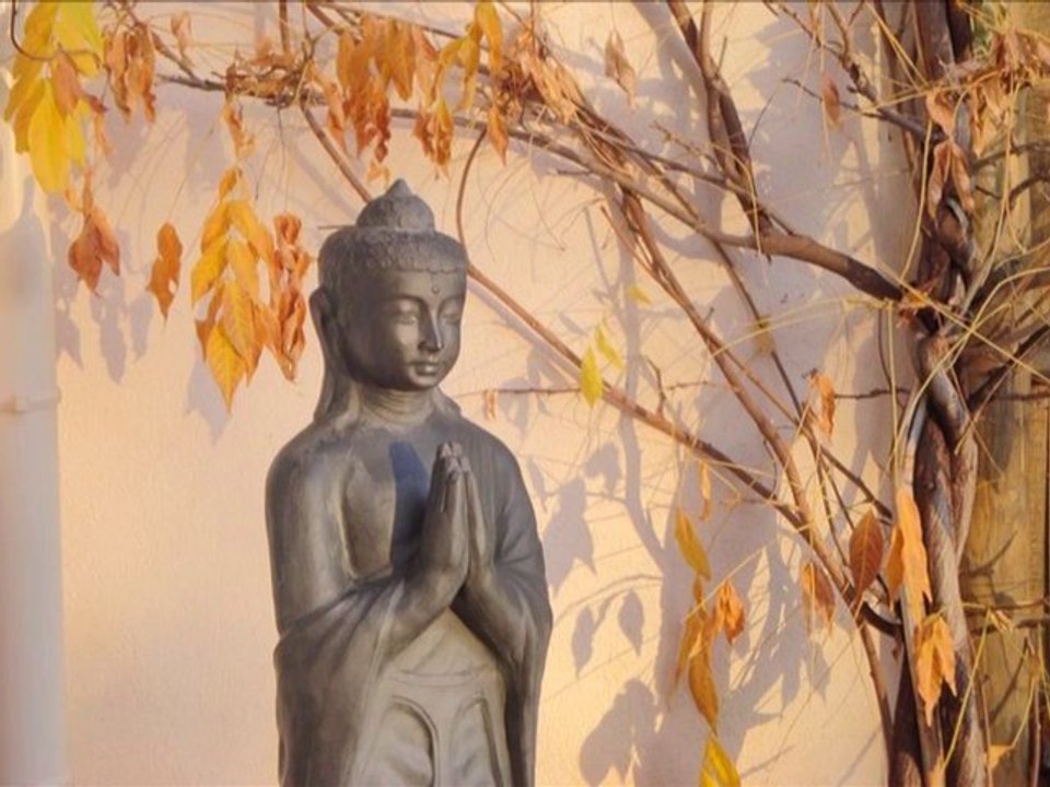 Metta meditation - Meditation guidée