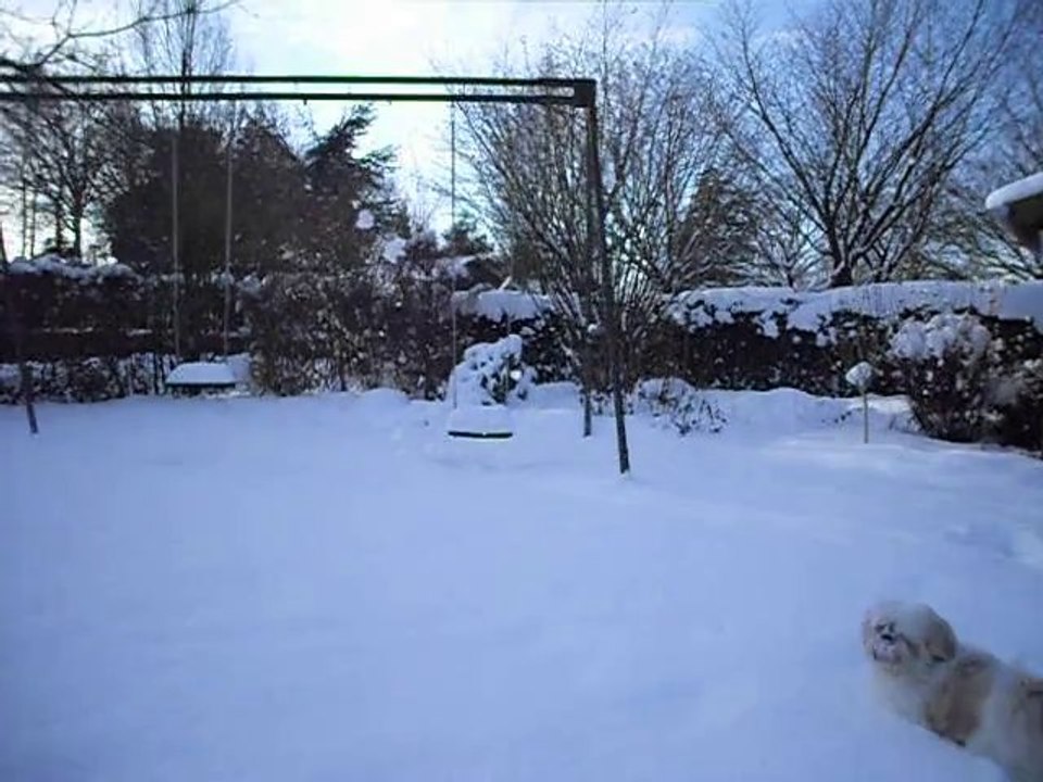 SAM_0162
