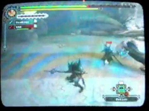 Monster Hunter Tri - Duo grand jaggi+