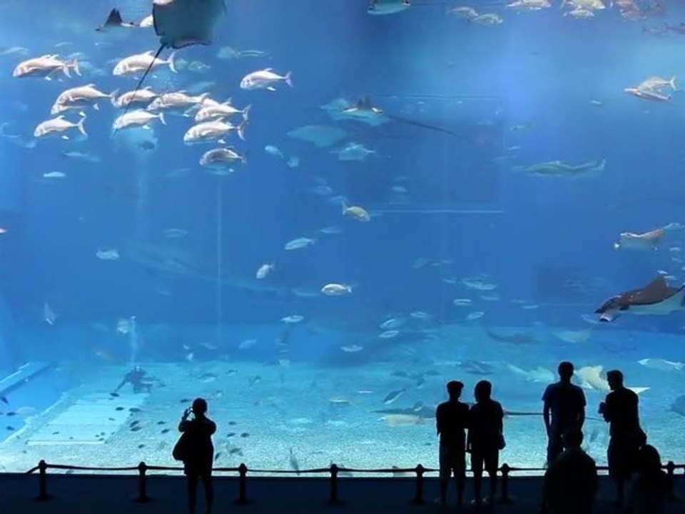 Куросио море в Японии