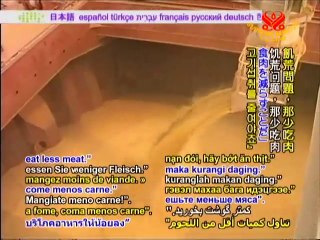 United Nations World Food Day