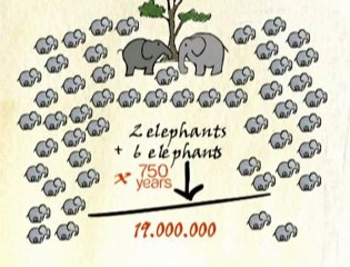 Darwin sur les traces de l'évolution 9'38