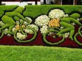 Çevre ve Balkon Süsleme-Çok Farklı ve İlginç