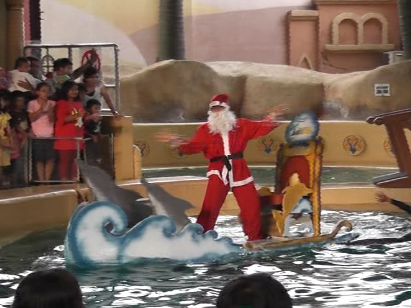 ⁣Dolphins Pull Santa's Sleigh in Indonesia
