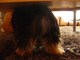 Papa nowel est passé aussi pour Chuna