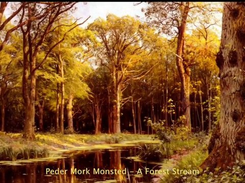 Bernward Koch - Evoking Wonder