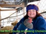 Raising Chickens In Your backyard Free Mini Course
