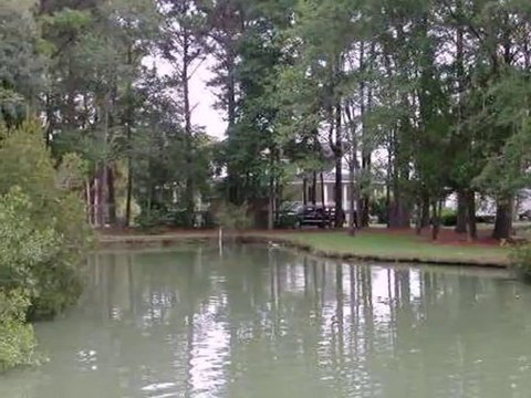 Homes for Sale - 4617 Causey Pond Rd - Awendaw, SC 29429 - Pug Dudley