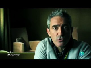 Decisiones bajo emociones fuertes