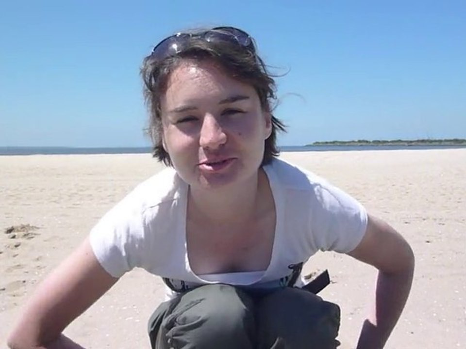 Ptit coucou pour les fêtes de fin d'années !