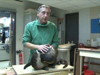 Visits to Paris museum of evolution hit 10 million