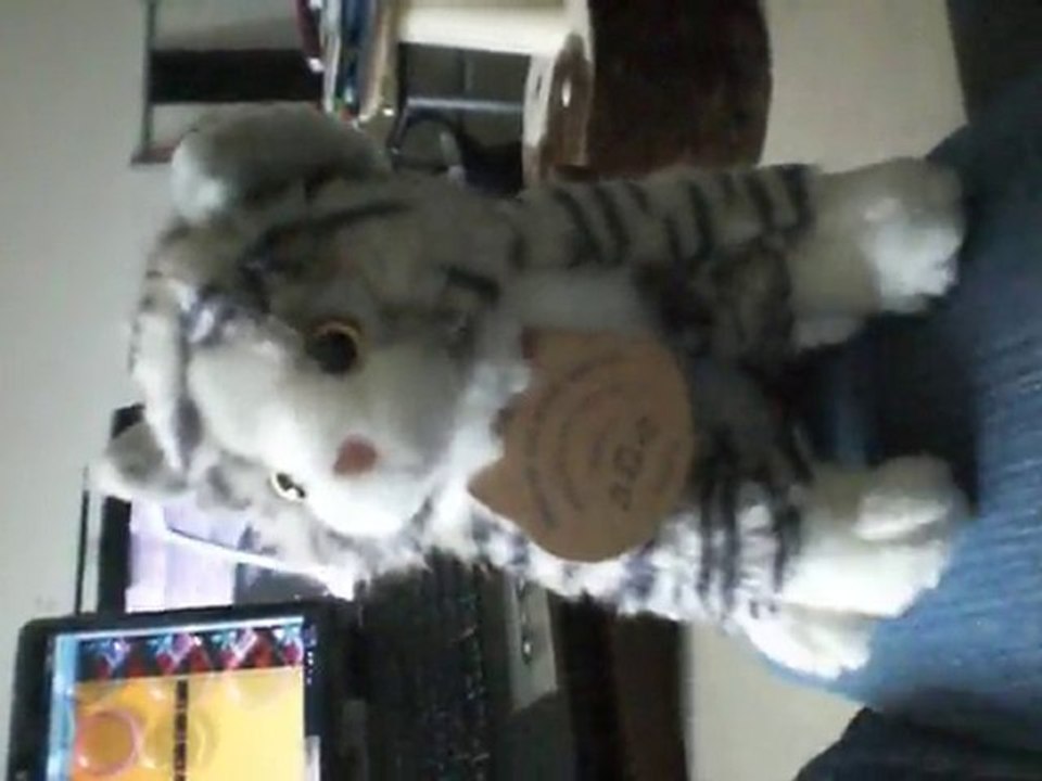 chaton peluche