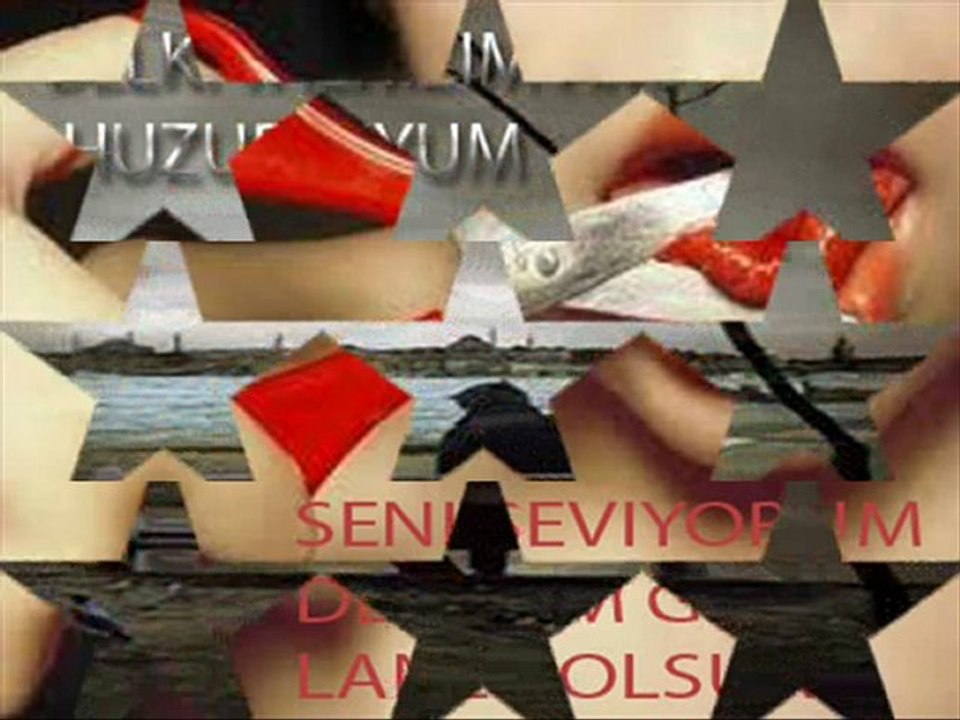 Fikret Sebas Ayrilik Treni