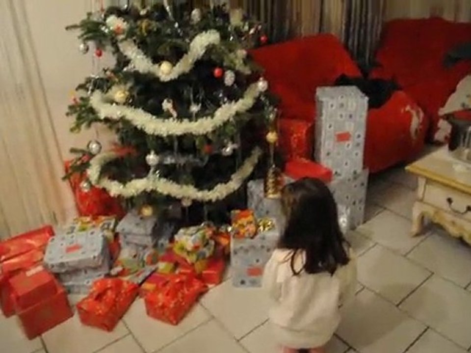 noel 2010 012