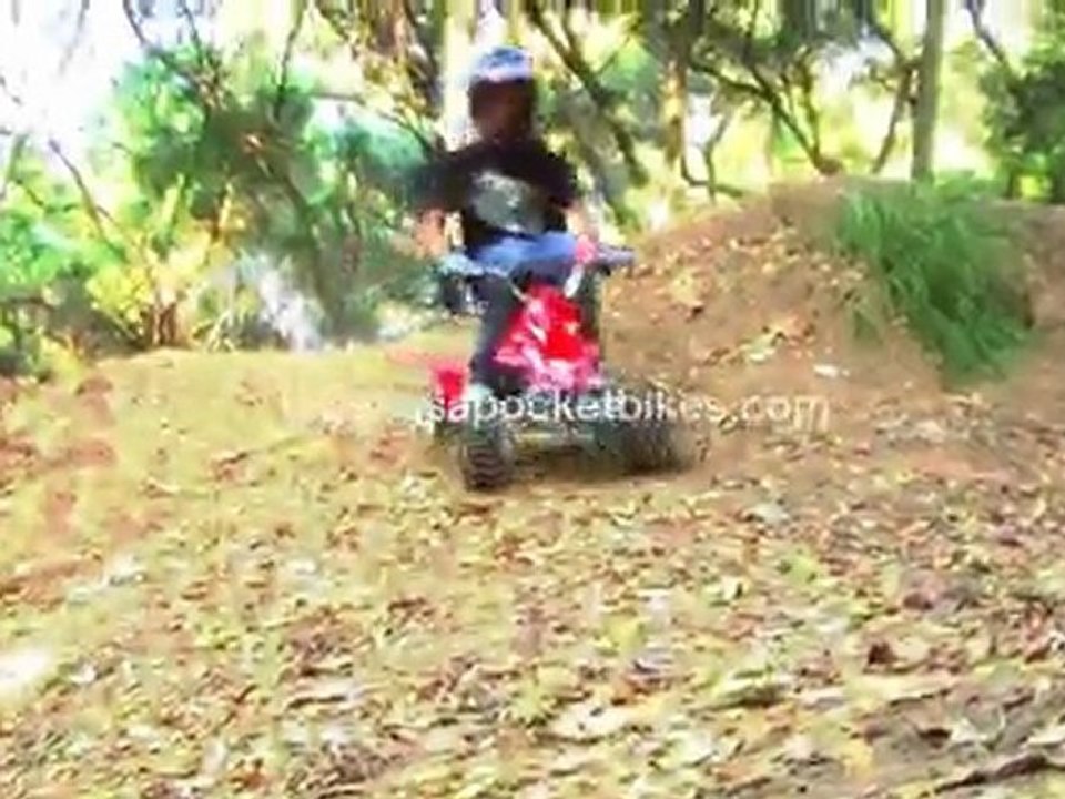 Pocket Bikes, Mini Bikes -  Cobra S4 50cc Mini 4-Wheeler Qu
