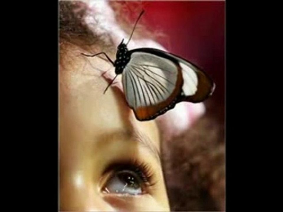 yanlızlığın sarkısı