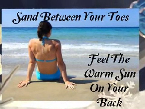 Best Of The Sunshine Coast Accommodation