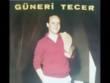 Güneri Tecer - Sisli Hatıralar