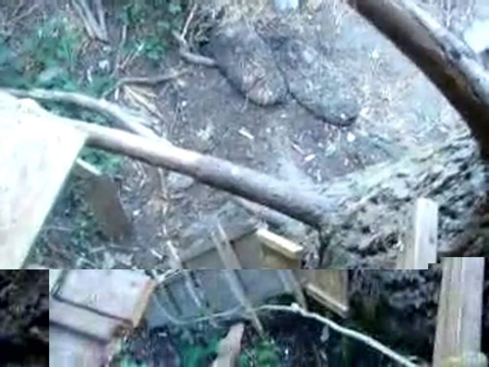 GREATEST TREE HOUSE EVER