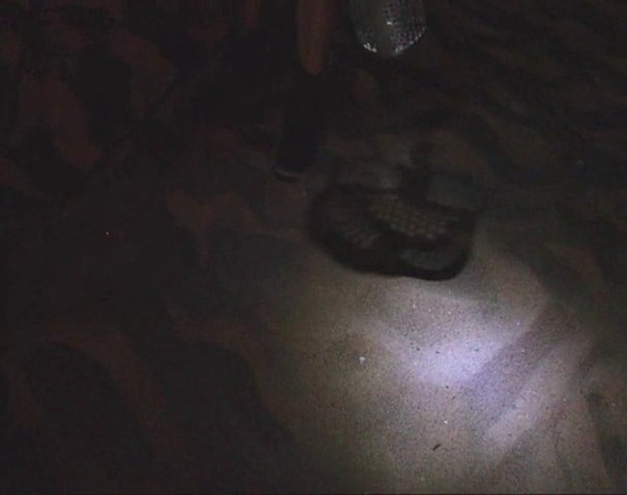 détecteur de métaux White's prizm 6t la nuit à la plage