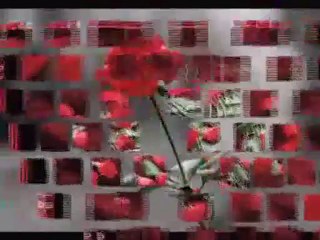 aşk ızdırap video