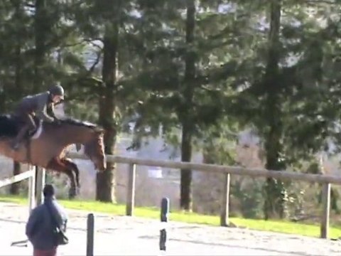 Jument 8 ans par Lord Calando (née en 2003)