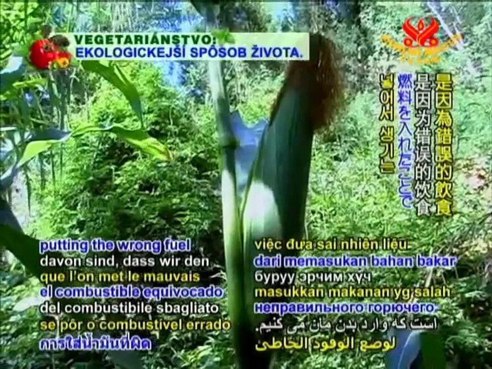 HEALTHY LIVING A Diabetes-Free World - P1/2