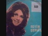 Sevim Şengül - Seven Unutmaz