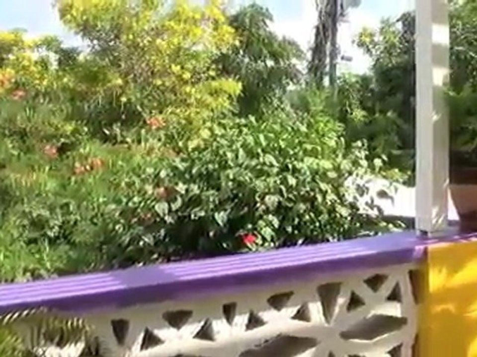 St Croix Real Estate 17B Sally's Fancy