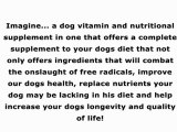 Dog Health Vitamin | Dog Supplement | NuVet